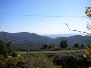 DSCN4129.JPG