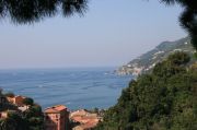 IMG_7243.JPG