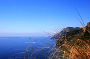 IMG_7267.JPG
