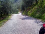 IMG-20130723-190.jpg