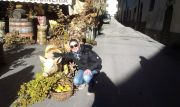 2012-12-29_13_52_41.jpg